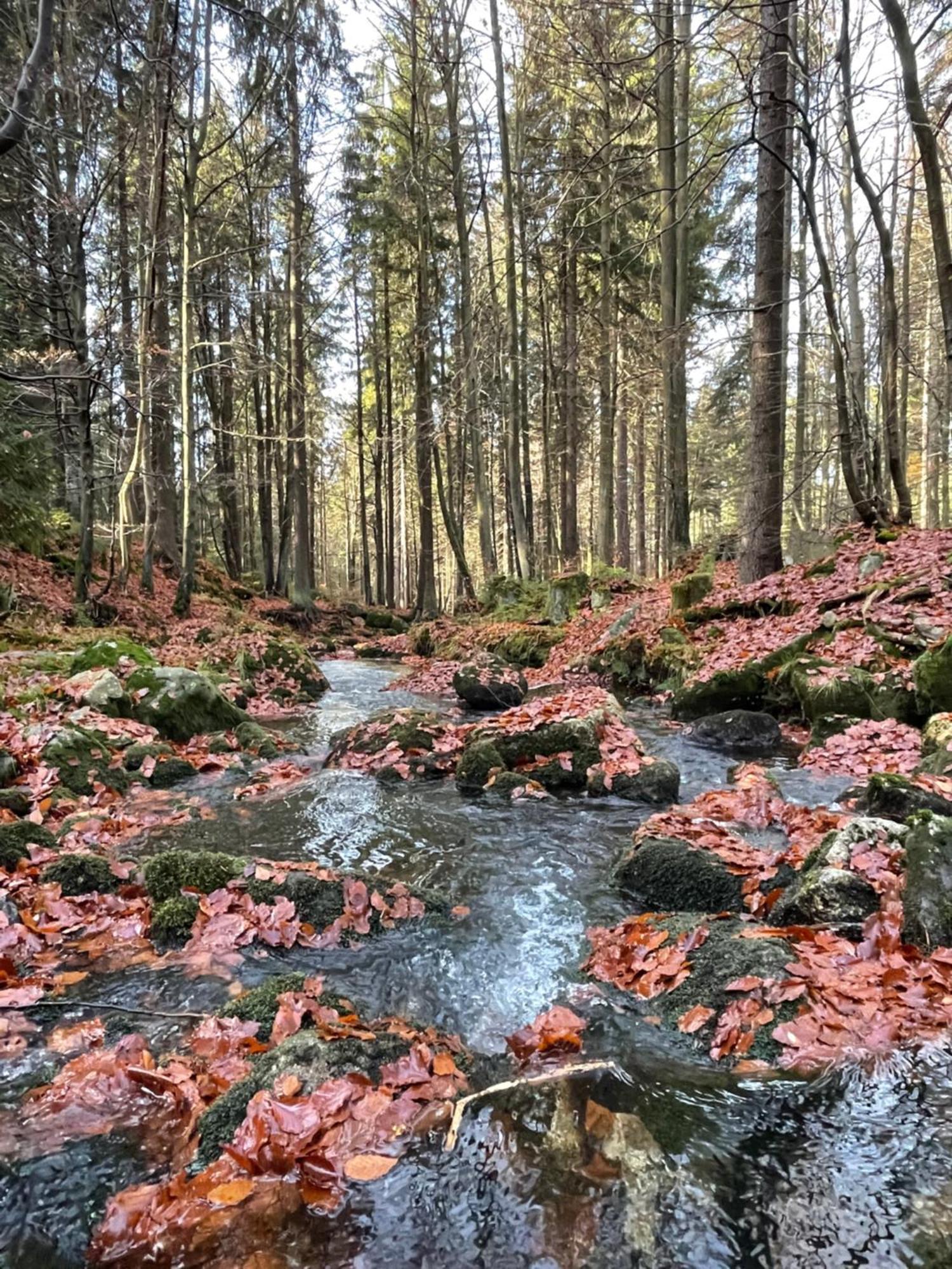 Chalupa U Krize Harrachov Exterior foto